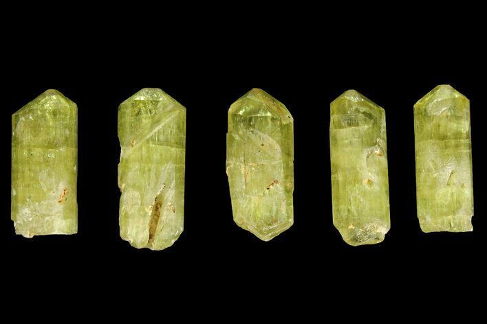 Five Yellow Apatite Crystals (over ) - Morocco #143081